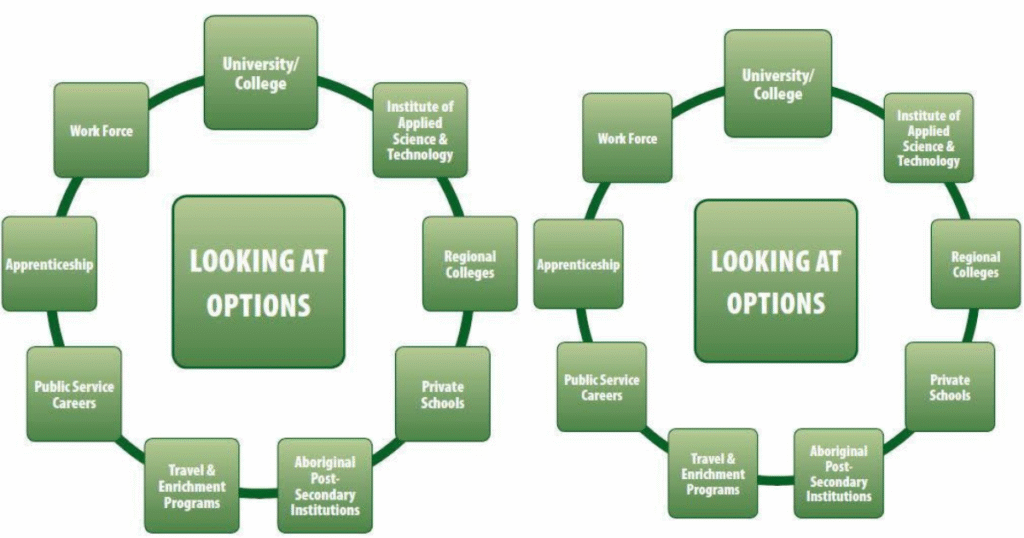 Career Progression Options